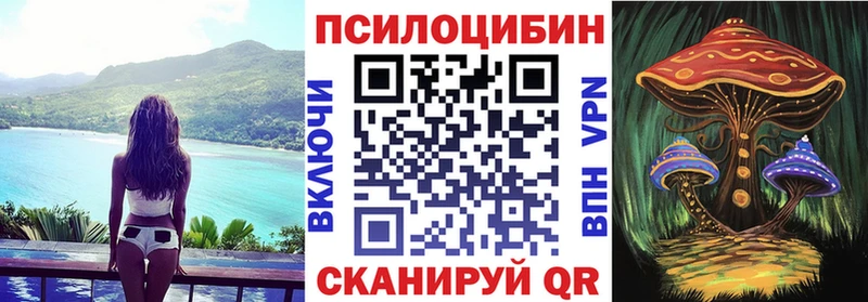 MEGA зеркало  Шахунья  Галлюциногенные грибы Psilocybe 